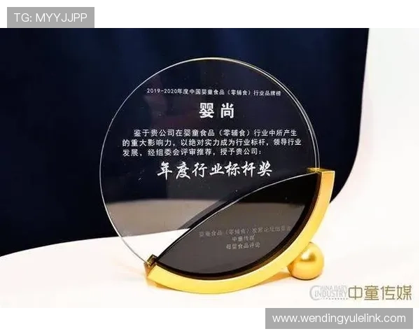 问鼎官方：缔造行业新标杆的终极指南