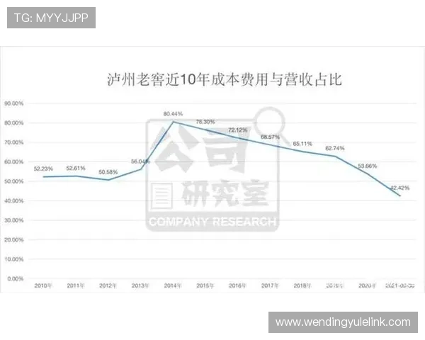 问鼎网页网址在网站建设中的应用实例与实用技巧分享
