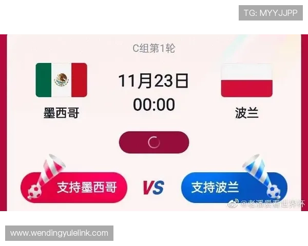 南非对韩国世界杯比赛半全场战术变化：影响比赛结果的关键因素分析